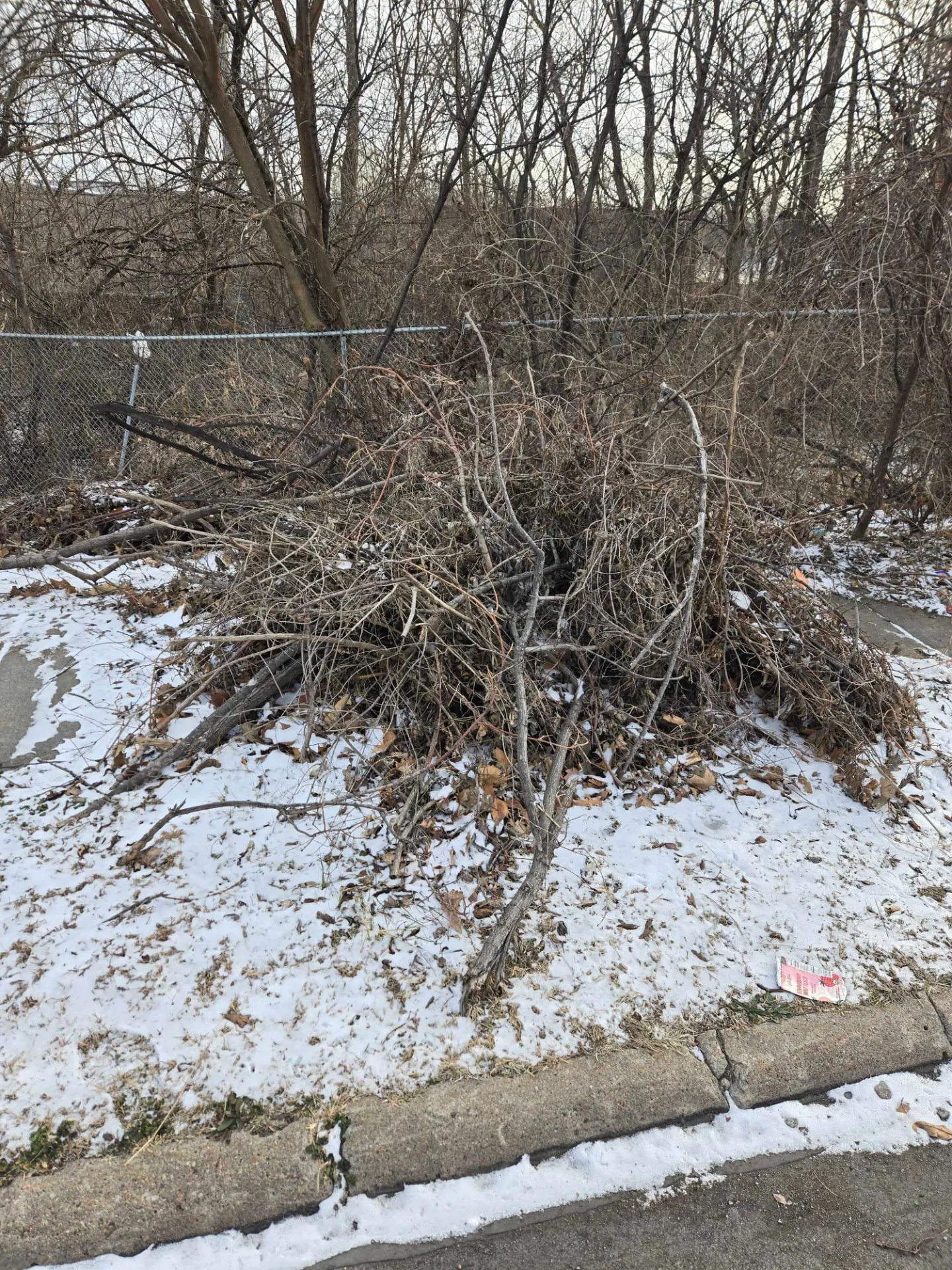 Omaha Yard Waste & Brush Removal, Bagged or Not.