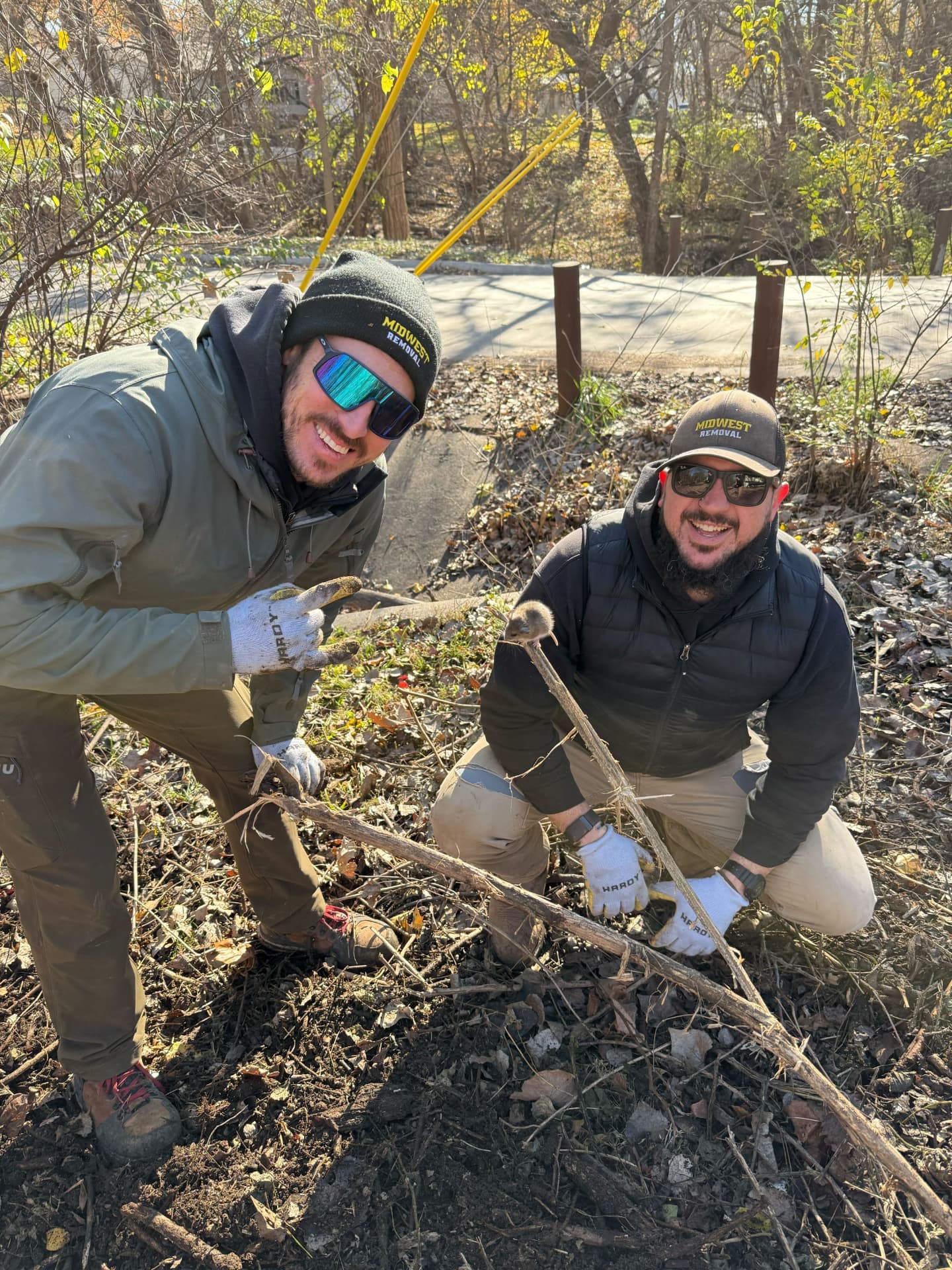 Midwest Removal crew clearing brush and yard debris in Omaha